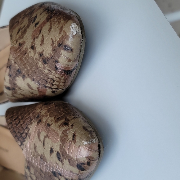 snakeskin - Picture 10 of 12